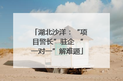 湖北沙洋：“项目警长”驻企 “一对一”解难题