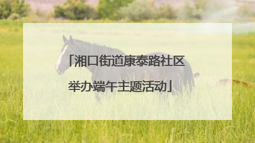 湘口街道康泰路社区举办端午主题活动