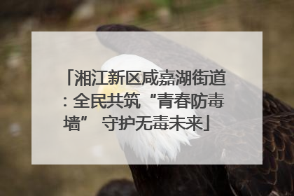湘江新区咸嘉湖街道：全民共筑“青春防毒墙” 守护无毒未来
