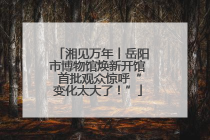 湘见万年丨岳阳市博物馆焕新开馆 首批观众惊呼“变化太大了！”