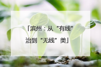 滨州：从“有线”治到“无线”美
