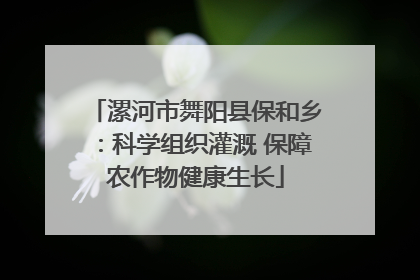 漯河市舞阳县保和乡：科学组织灌溉 保障农作物健康生长