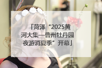 菏泽“2025黄河大集—曹州牡丹园夜游消夏季”开幕