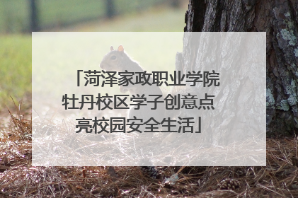 菏泽家政职业学院牡丹校区学子创意点亮校园安全生活