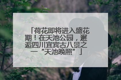 荷花即将进入盛花期！在天池公园，邂逅四川宜宾古八景之一“天池晚照”