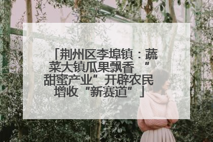 荆州区李埠镇：蔬菜大镇瓜果飘香 “甜蜜产业”开辟农民增收“新赛道”