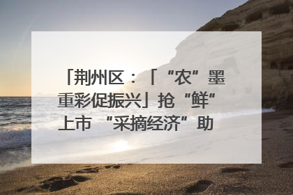 荆州区：「“农”墨重彩促振兴」抢“鲜”上市 “采摘经济”助农“甜蜜增收”