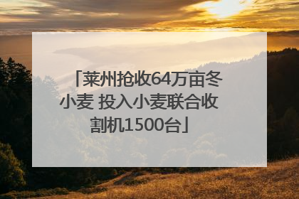 莱州抢收64万亩冬小麦 投入小麦联合收割机1500台