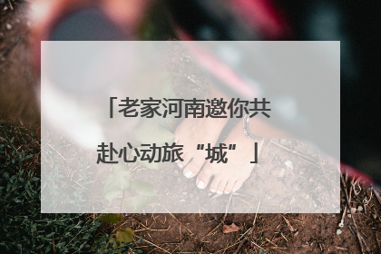老家河南邀你共赴心动旅“城”