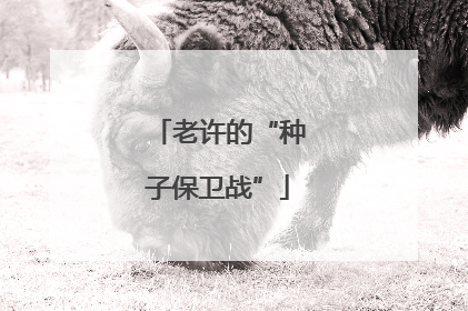 老许的“种子保卫战”