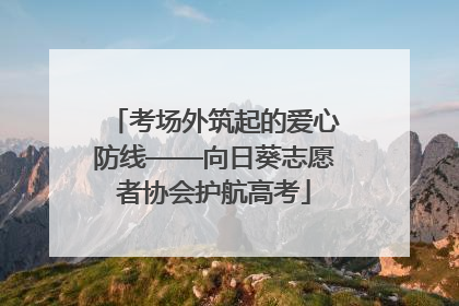 考场外筑起的爱心防线——向日葵志愿者协会护航高考
