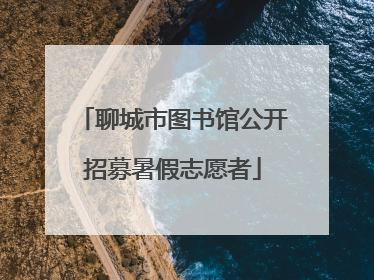 聊城市图书馆公开招募暑假志愿者