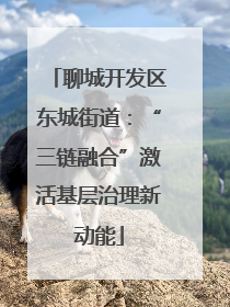 聊城开发区东城街道：“三链融合”激活基层治理新动能
