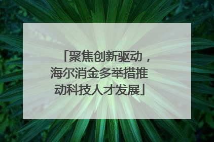聚焦创新驱动，海尔消金多举措推动科技人才发展