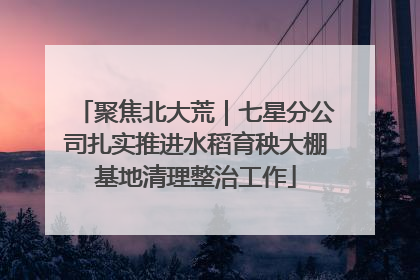 聚焦北大荒｜七星分公司扎实推进水稻育秧大棚基地清理整治工作