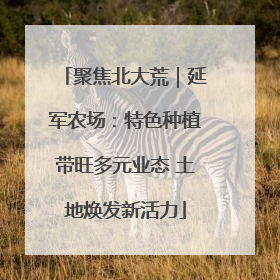 聚焦北大荒｜延军农场：特色种植带旺多元业态 土地焕发新活力