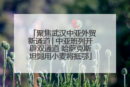 聚焦武汉中亚外贸新通道│中亚班列开辟双通道 哈萨克斯坦饲用小麦将抵鄂