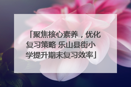 聚焦核心素养，优化复习策略 乐山县街小学提升期末复习效率
