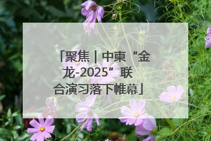 聚焦｜中柬“金龙-2025”联合演习落下帷幕