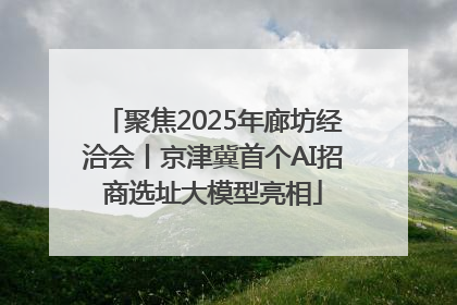 聚焦2025年廊坊经洽会丨京津冀首个AI招商选址大模型亮相