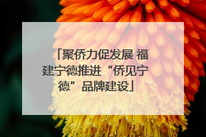 聚侨力促发展 福建宁德推进“侨见宁德”品牌建设