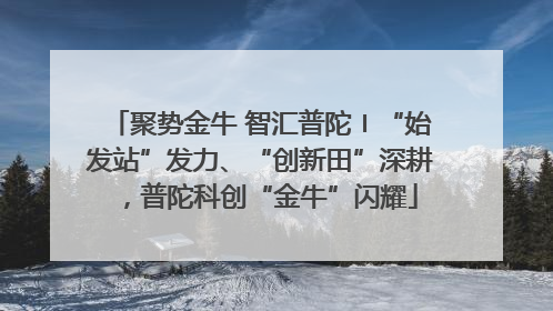聚势金牛 智汇普陀〡“始发站”发力、“创新田”深耕，普陀科创“金牛”闪耀