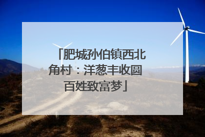 肥城孙伯镇西北角村：洋葱丰收圆百姓致富梦