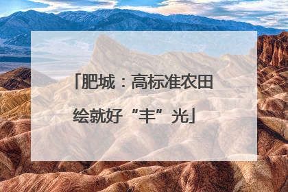 肥城：高标准农田绘就好“丰”光