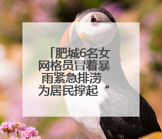 肥城6名女网格员冒着暴雨紧急排涝 为居民撑起“安全伞”