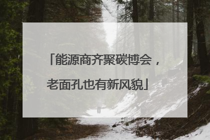 能源商齐聚碳博会，老面孔也有新风貌