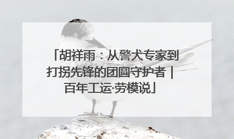 胡祥雨：从警犬专家到打拐先锋的团圆守护者｜百年工运·劳模说