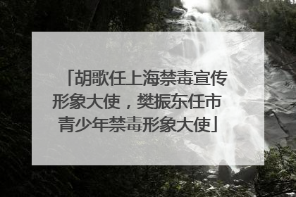 胡歌任上海禁毒宣传形象大使，樊振东任市青少年禁毒形象大使