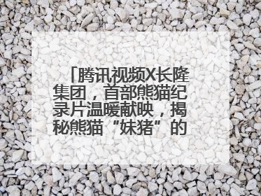 腾讯视频X长隆集团，首部熊猫纪录片温暖献映，揭秘熊猫“妹猪”的成长密码