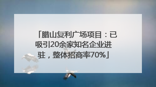 腊山复利广场项目：已吸引20余家知名企业进驻，整体招商率70%