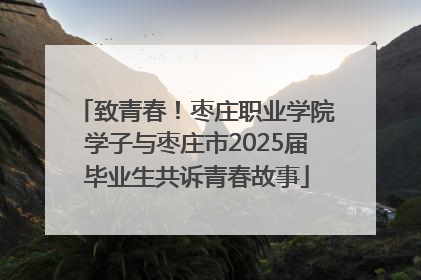 致青春！枣庄职业学院学子与枣庄市2025届毕业生共诉青春故事