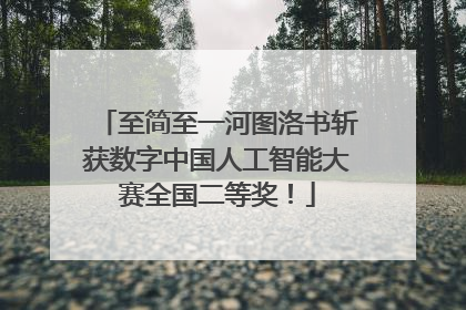 至简至一河图洛书斩获数字中国人工智能大赛全国二等奖！