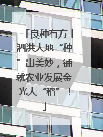 良种有方丨泗洪大地“种”出美妙，铺就农业发展金光大“稻”！