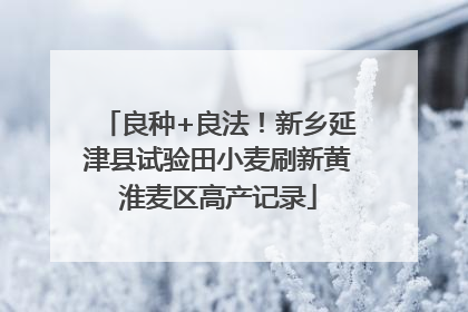 良种+良法！新乡延津县试验田小麦刷新黄淮麦区高产记录