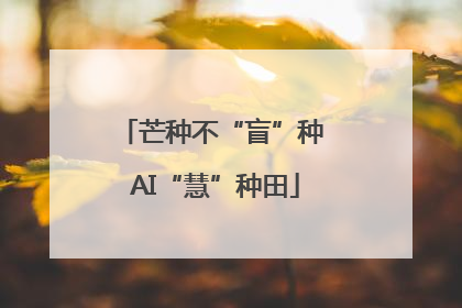芒种不“盲”种 AI“慧”种田