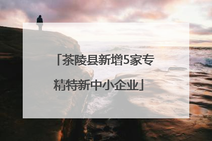 茶陵县新增5家专精特新中小企业