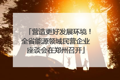 营造更好发展环境！全省能源领域民营企业座谈会在郑州召开