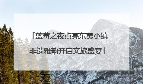蓝莓之夜点亮东夷小镇 非遗雅韵开启文旅盛宴