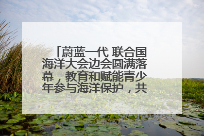 蔚蓝一代 联合国海洋大会边会圆满落幕，教育和赋能青少年参与海洋保护，共护珍贵蓝色家园