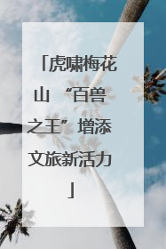 虎啸梅花山 “百兽之王”增添文旅新活力