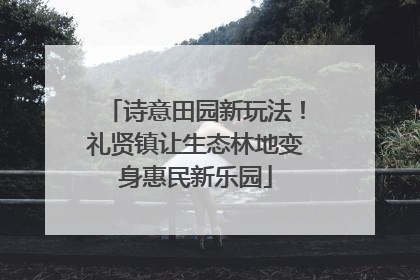 诗意田园新玩法！礼贤镇让生态林地变身惠民新乐园
