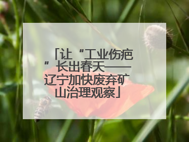 让“工业伤疤”长出春天——辽宁加快废弃矿山治理观察