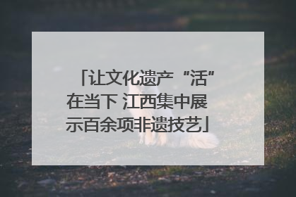 让文化遗产“活”在当下 江西集中展示百余项非遗技艺
