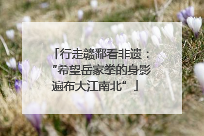 行走赣鄱看非遗：“希望岳家拳的身影遍布大江南北”