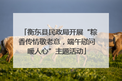 衡东县民政局开展“粽香传情敬老意，端午慰问暖人心”主题活动
