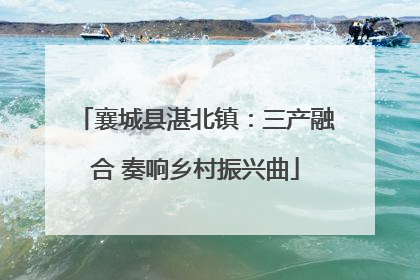 襄城县湛北镇：三产融合 奏响乡村振兴曲